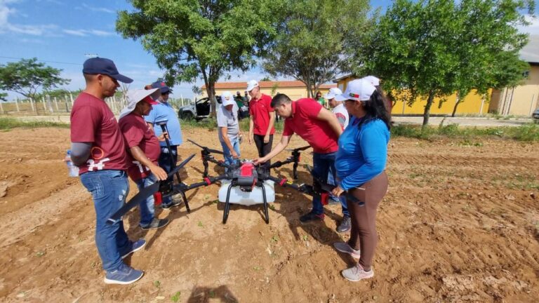 China’s Science and Technology Backyard program contributes to global green transformation of agriculture