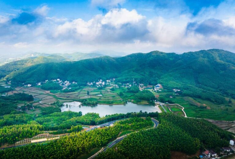 China averages 100 trees per person as nation accelerates greening efforts