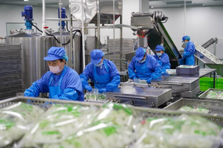 Technological drives modernization in China’s egg industry