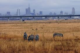 ‘Go to China and find green stories across the country’ Erik Solheim in an interview with People’s Daily